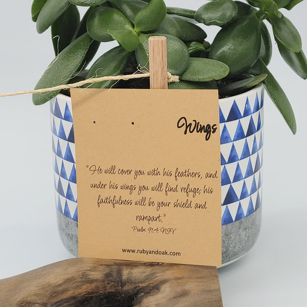Wings - Natural Wood