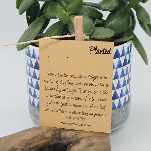 Planted - Natural Wood
